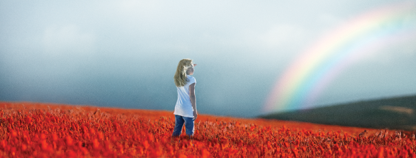 Girl standing in field of red flowers staring at distant rainbow